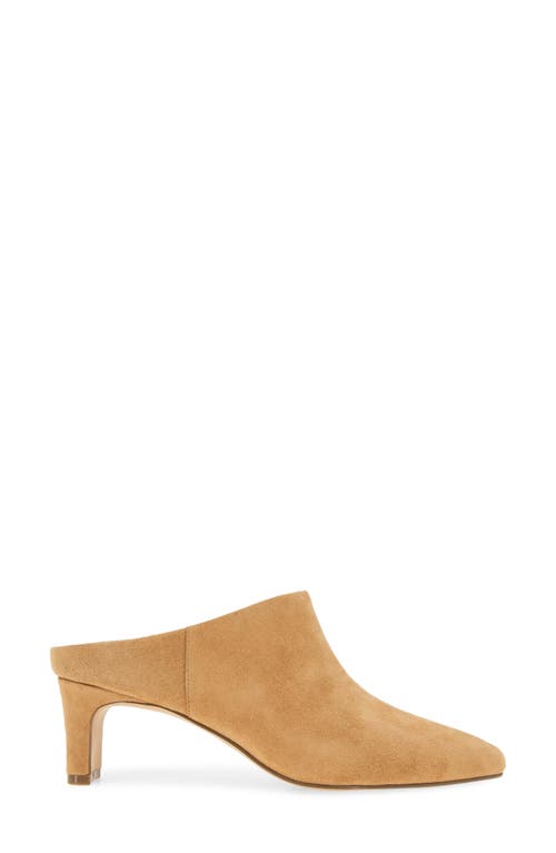 Andre Assous André Assous Willow Mule In Brown