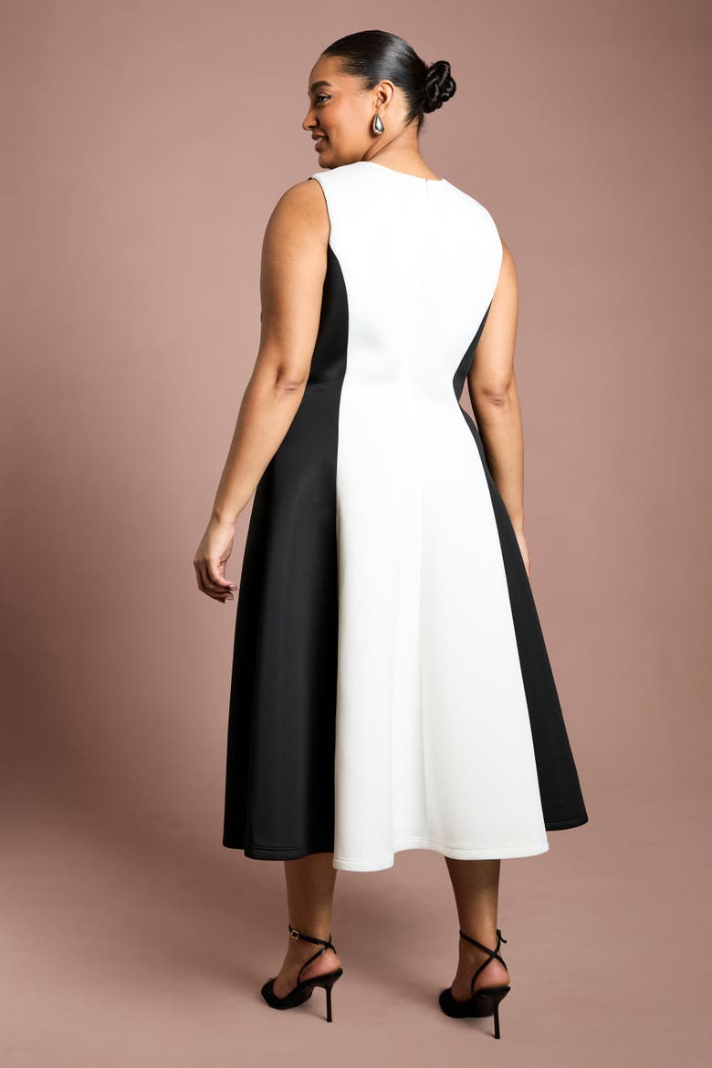 Plus Colour Block Fit Flare Midi Dress, Alternate, color, Mono