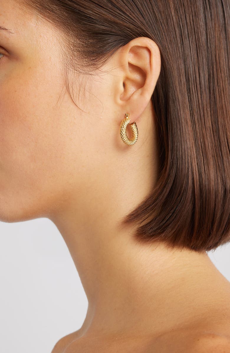 Set & Stones Isabelle Hoop Earrings, Alternate, color, Gold