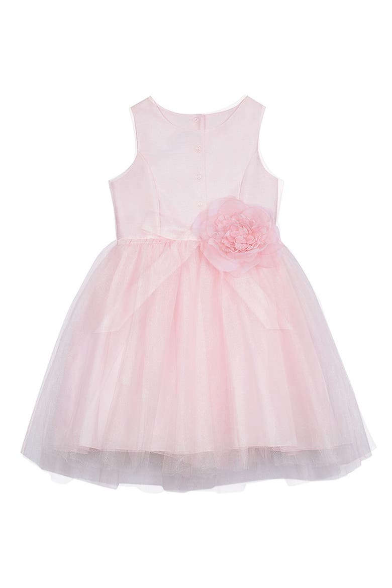 Ballerina Dress, Main, color, PINK