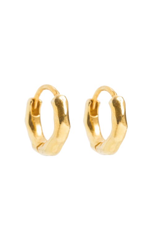 Freya Rose Gold Huggies Earrings In Gold