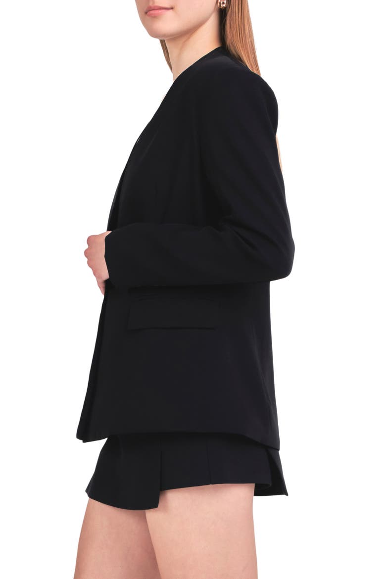 Fitted Sash Blazer, Alternate, color, BLACK
