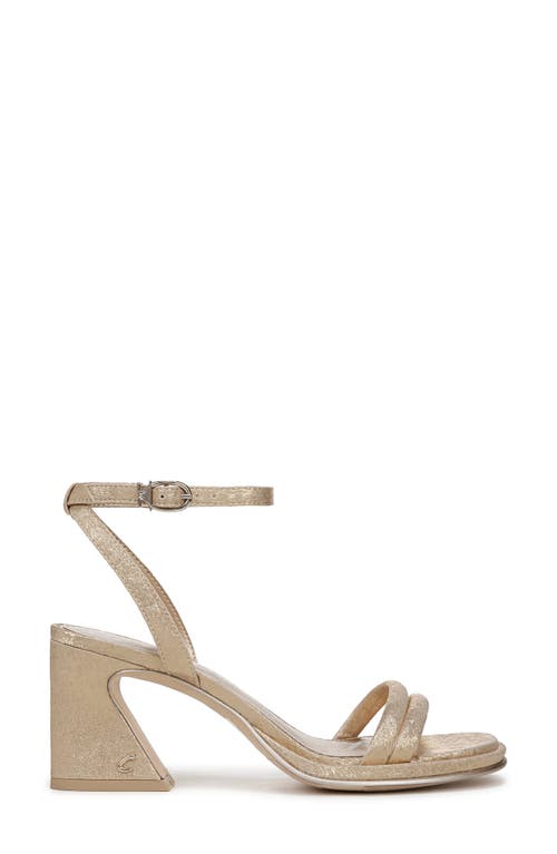Circus Ny By Sam Edelman Holly Ankle Strap Sandal In Gold