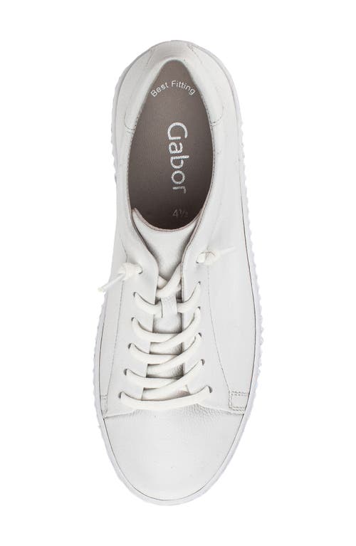 Gabor Leather Platform Sneaker In Multi