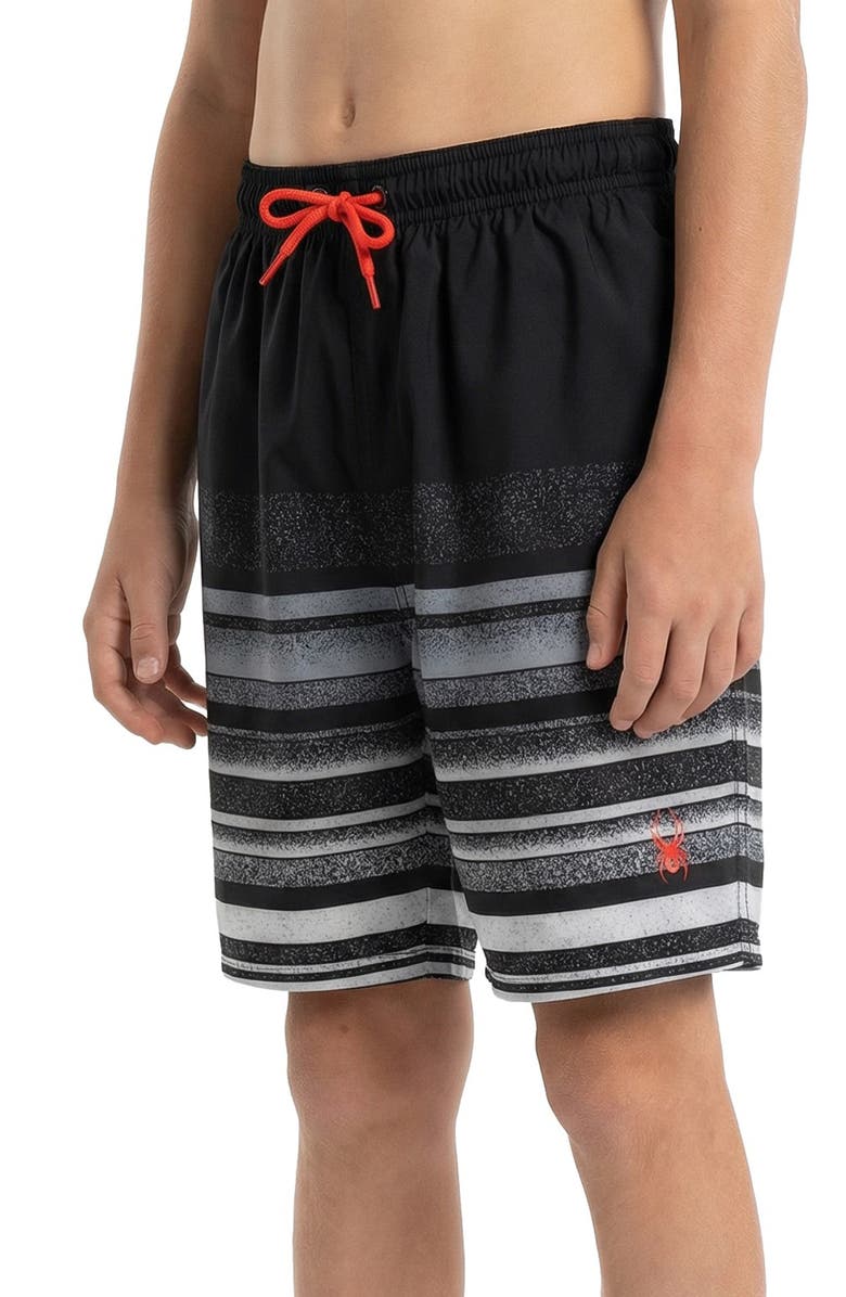Spyder Kids' Stippled Stripe Volley Swim Trunks, Alternate, color, Caviar