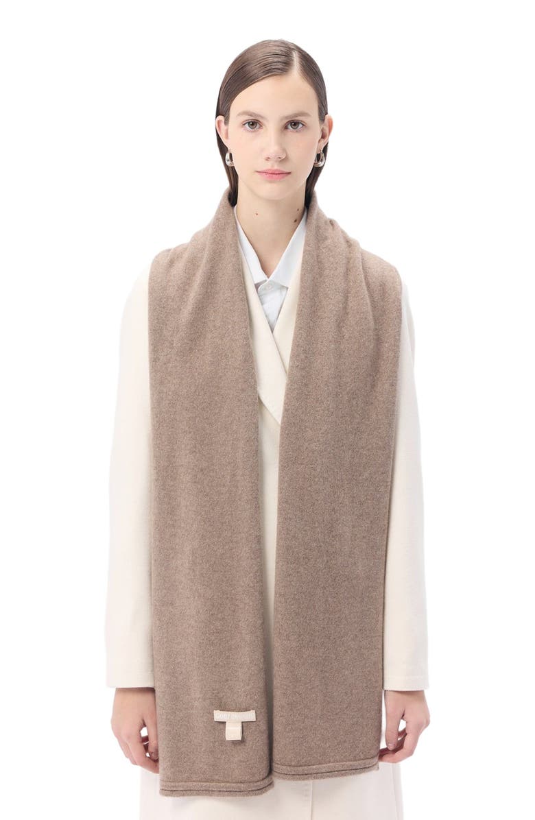 GOBI Mongolian Cashmere Cashmere Jersey Knit scarf, Alternate, color, Taupe