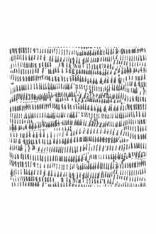 Wallpops Kylver Peel and Stick Wallpaper