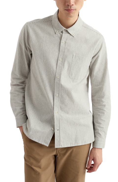 Jenken Stripe Organic Cotton Button-Down Oxford Shirt