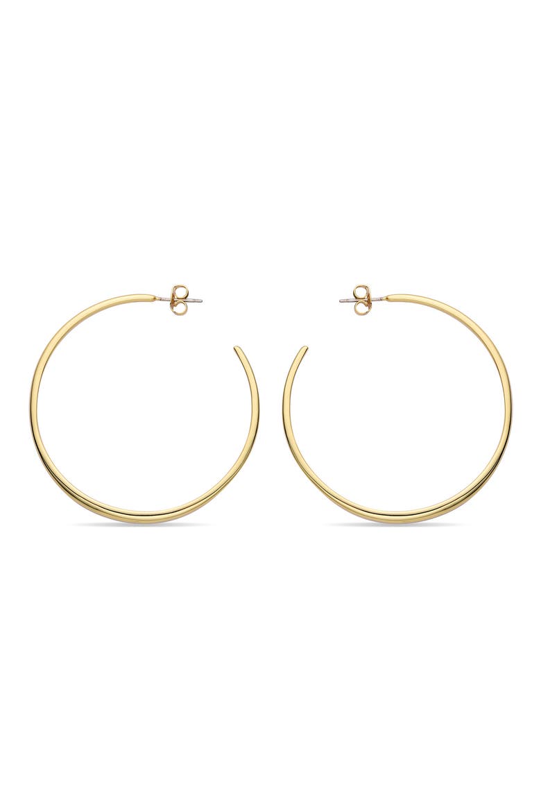 Lisa Hoop Earrings, Alternate, color, GOLD