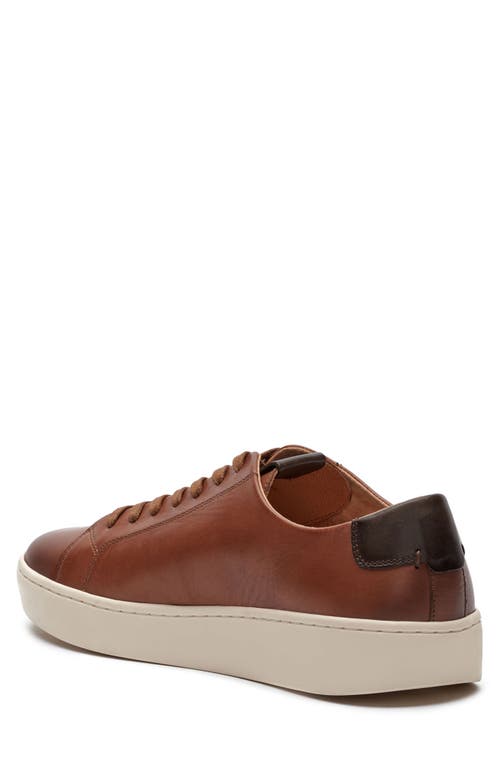 Vince Camuto Hallman Leather Sneaker In Brown