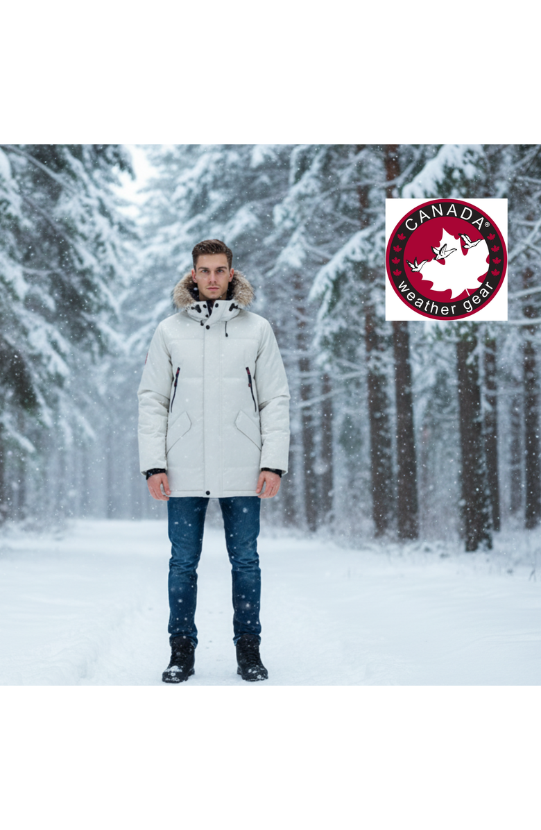 CANADA WEATHER GEAR Men's Arctic Winter Jacket, Alternate, color, Stone