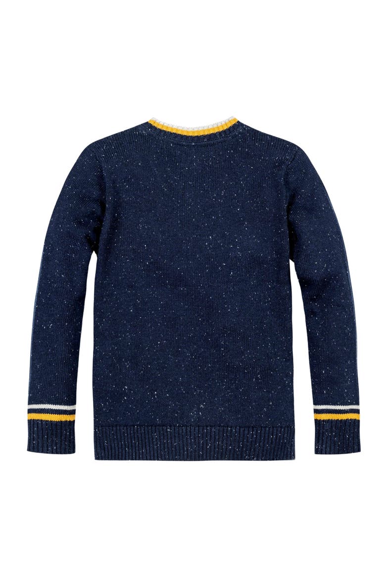 Baby Boys' Organic V-Neck Sweater, Infant, Alternate, color, Navy Fleck with Tipping