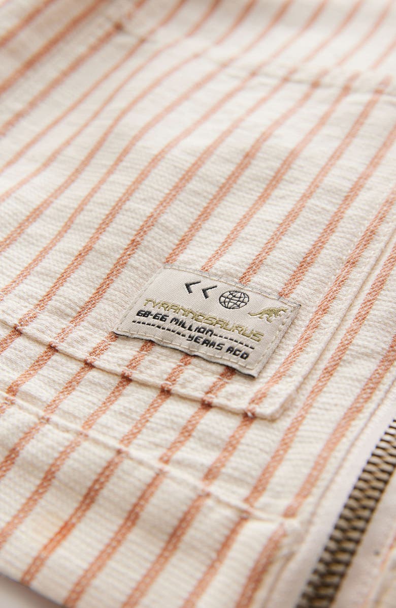 NEXT Kids' Stripe Zip Overshirt, Alternate, color, Brown