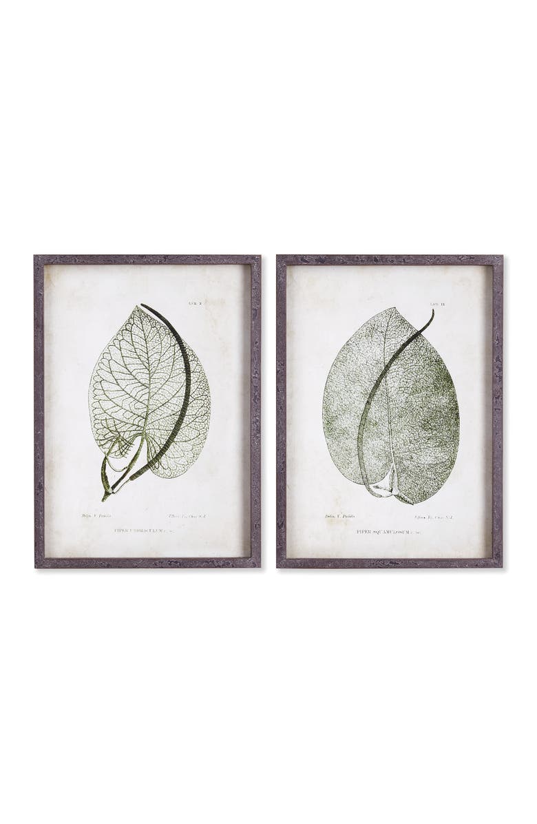 Napa Home & Garden Cordate Leaf Study Set of 2, Main, color,