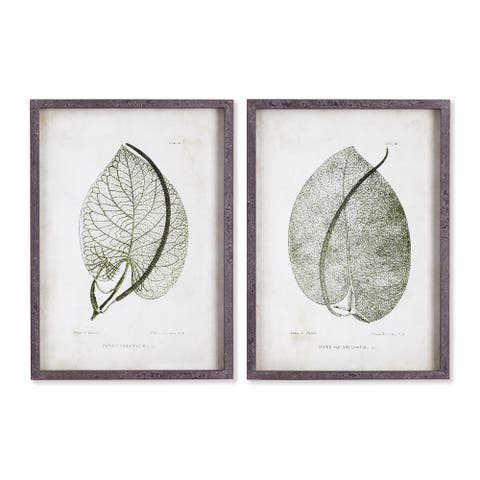Cordate Leaf Study Set of 2