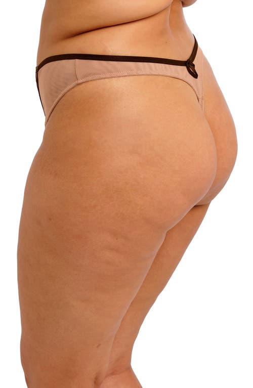 Elomi Teagan Thong In Brown