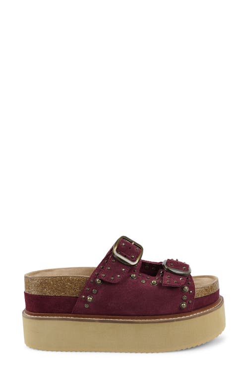 Zigi Studded Platform Sandal In Burgundy