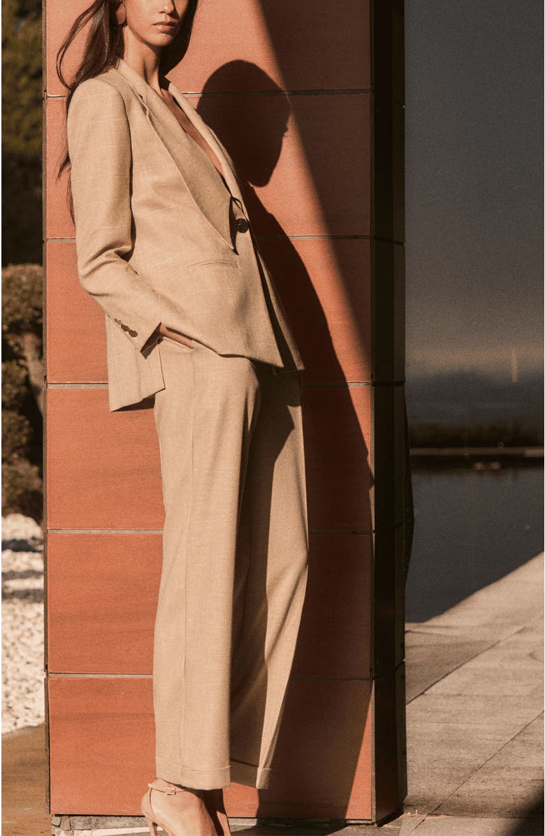 The IQ Collection Max Blazer, Alternate, color, Brown
