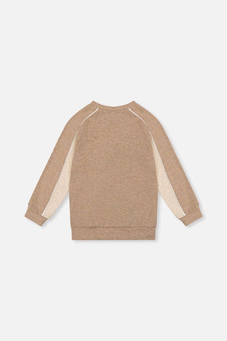 Brushed Jersey Raglan Sleeve Crew Neck Top, Alternate, color, Taupe