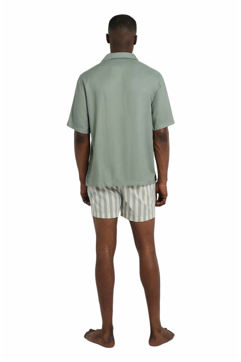 Charles 4" Swim Trunk, Alternate, color, SAGE/CREAM