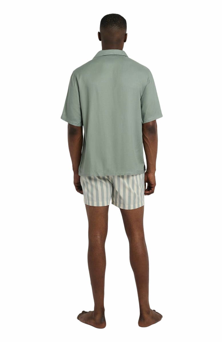 Onia Charles 4" Swim Trunk, Alternate, color, Sage/Cream