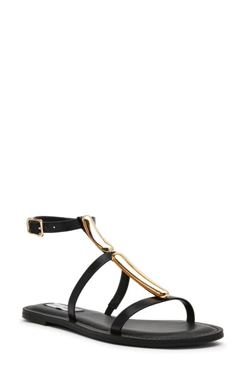 STEVE MADDEN STEVE MADDEN ALMA GLADIATOR SANDAL