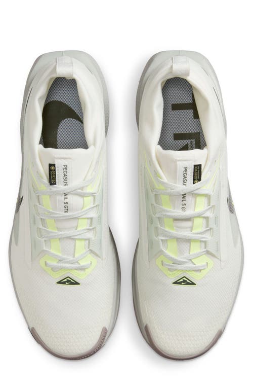 Nike Pegasus Trail 5 Rubber-trimmed Gore-tex Running Sneakers In White