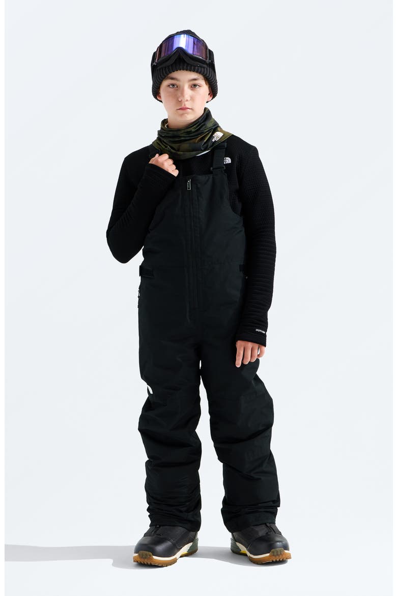 Kids' Freedom Waterproof Insulated Recycled Polyester Snow Bib, Main, color, TNF BLACK