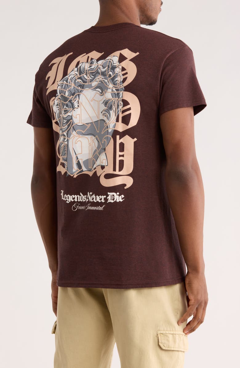 RETROFIT Renaissance Graphic T-Shirt, Alternate, color, Russet