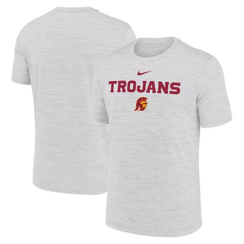 Men's Nike Ash USC Trojans 2025 Sideline Velocity Performance T-Shirt