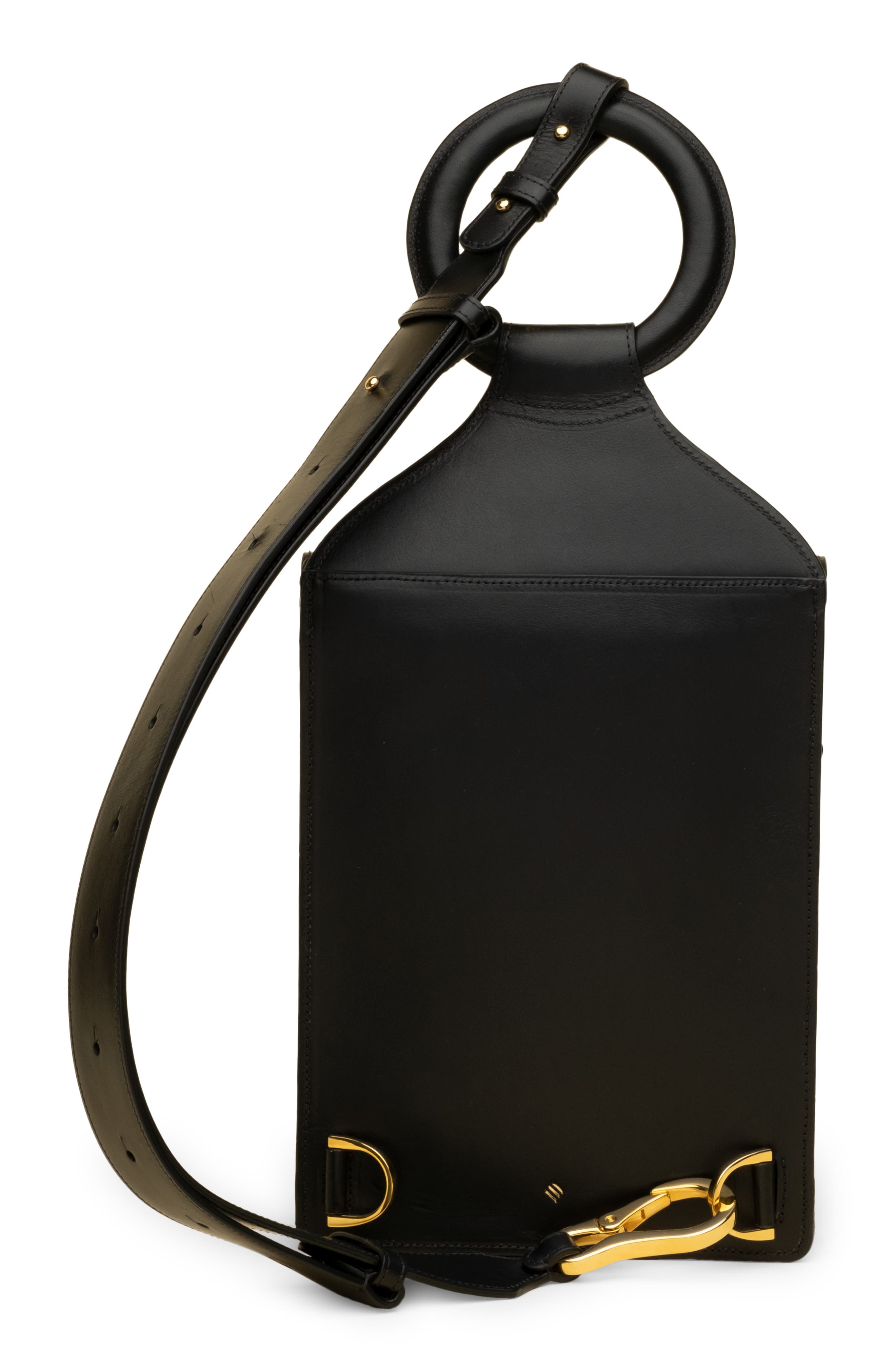 ASHYA Shema Leather Slingback Bag, Alternate, color, 