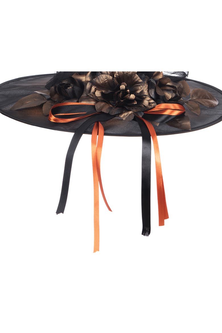 Copper & Black Witch Costume Hat, Alternate, color, Black