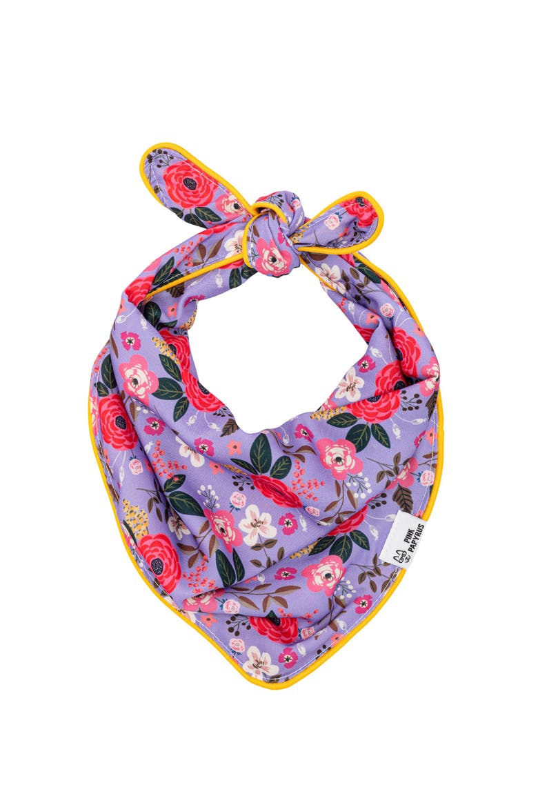 Vera Pet Bandana, Main, color, Vera