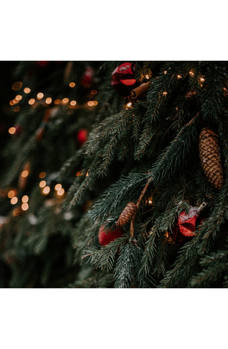 SKANDINAVISK JUL Scented Candle 200g Special Edition, Alternate, color, Red