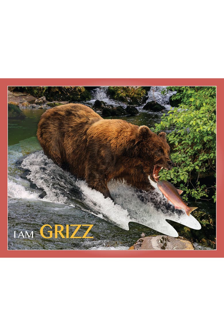 I Am Grizz 300 Piece Animal Shaped Puzzle, Fun Fact Booklet, Alternate, color, Multicolored