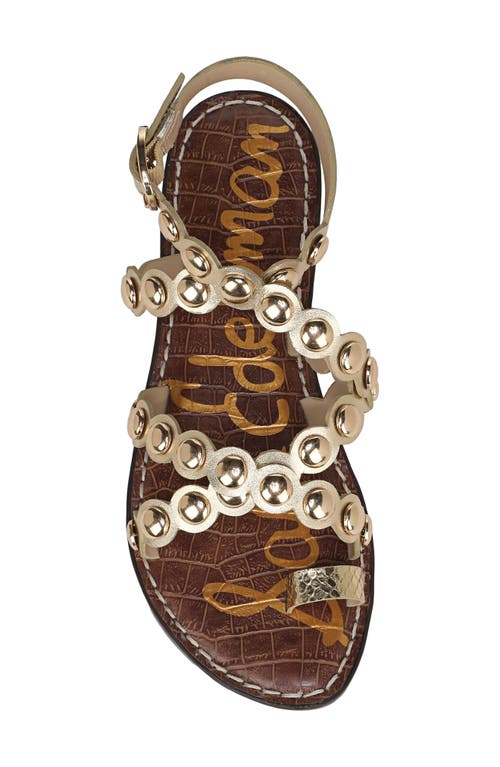 Sam Edelman Gloria Ankle Strap Sandal Amber Gold Leather In Amber Gold