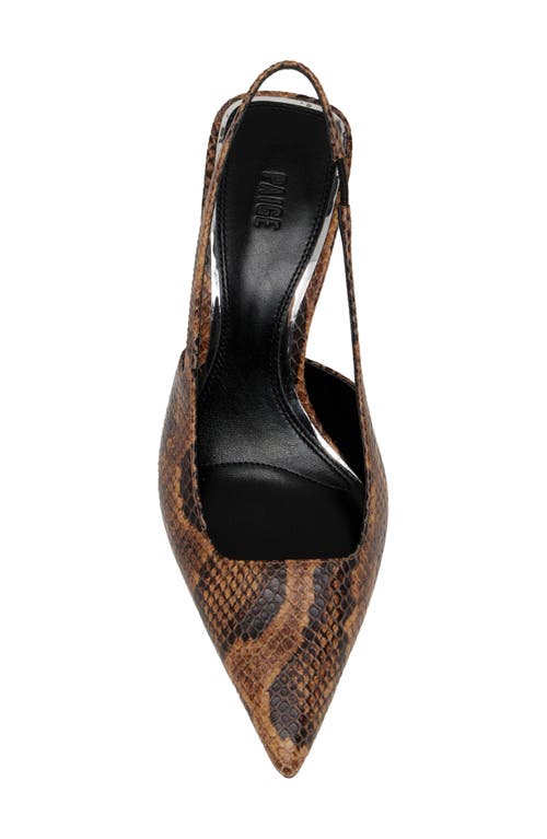 Paige Sienna Slingback Pointed Toe Pump In Brown