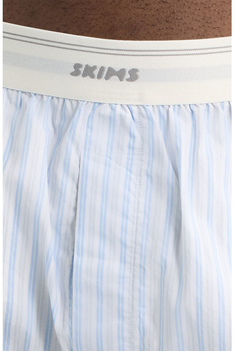 Logo Band Cotton Boxers, Alternate, color, PLATINUM DOUBLE STRIPE