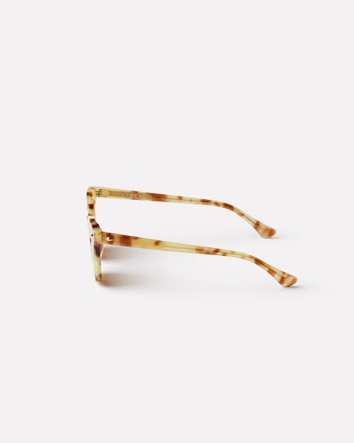Epokhe Dylan Xs Sunglasses In Brown