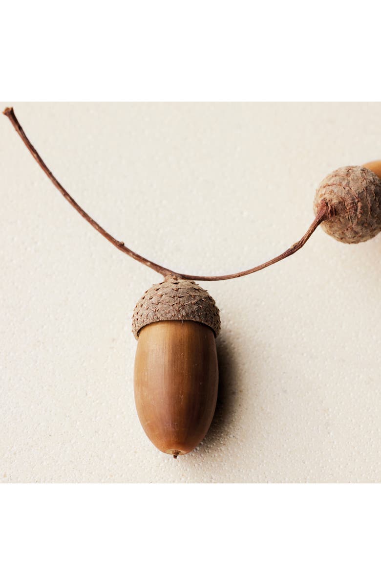 Chloé Atelier des Fleurs Chêne Eau de Parfum, Alternate, color, 