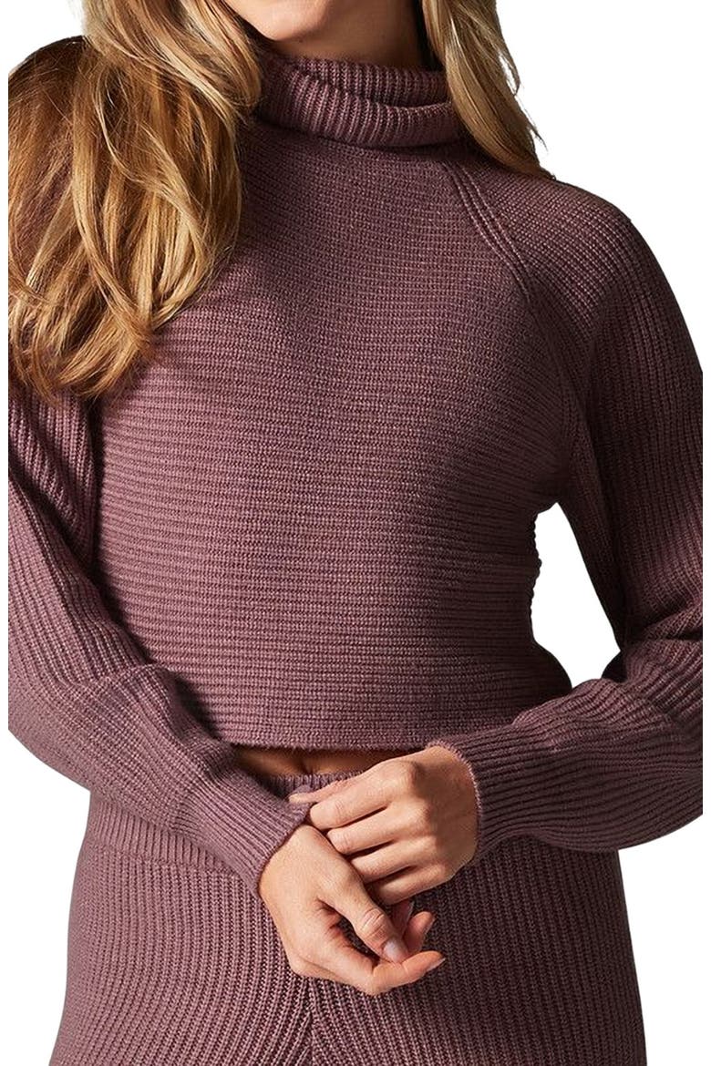 Alpine Knit Turtle Neck, Alternate, color, ROSE