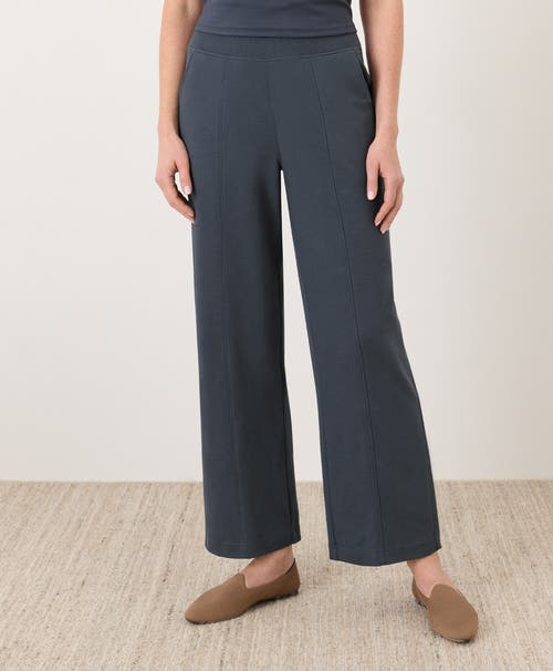 Pact Organic Cotton Airplane Pintuck Wide Leg Pant In Blue