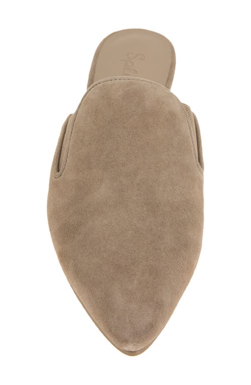 Splendid Liza Pointed Toe Mule In Neutral