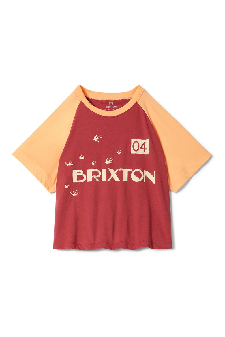 Swallow Sky Raglan Sleeve Crop Graphic T-Shirt, Alternate, color, ROBUST RED/ PEACH COBBLER