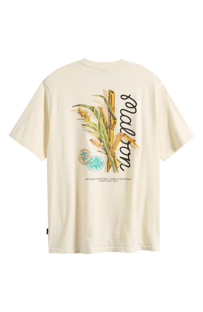 Malbon Golf Bermuda Origin Graphic T-Shirt, Alternate, color, Cream