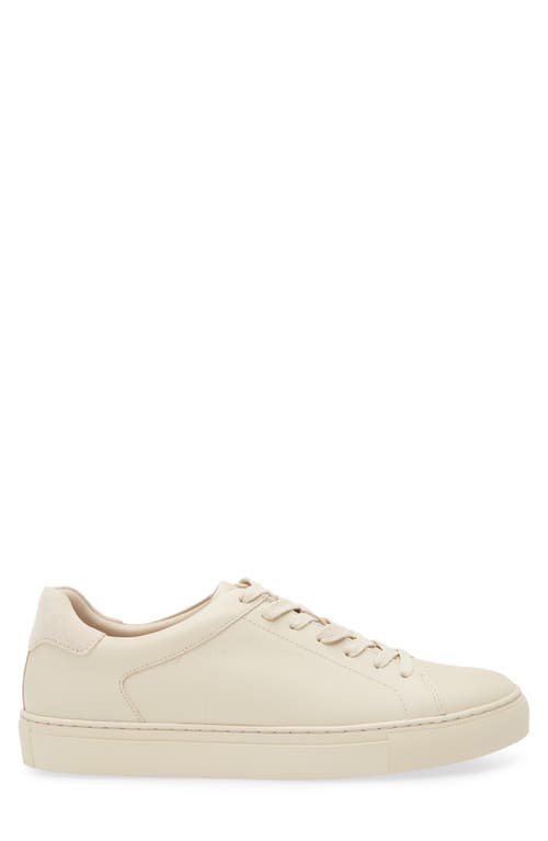 Nordstrom Jace Sneaker In Ivory Pristine