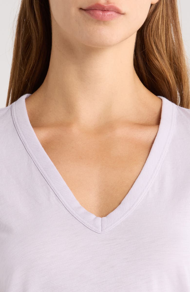 rag & bone The Vee Slub Cotton T-Shirt, Alternate, color, Mstli