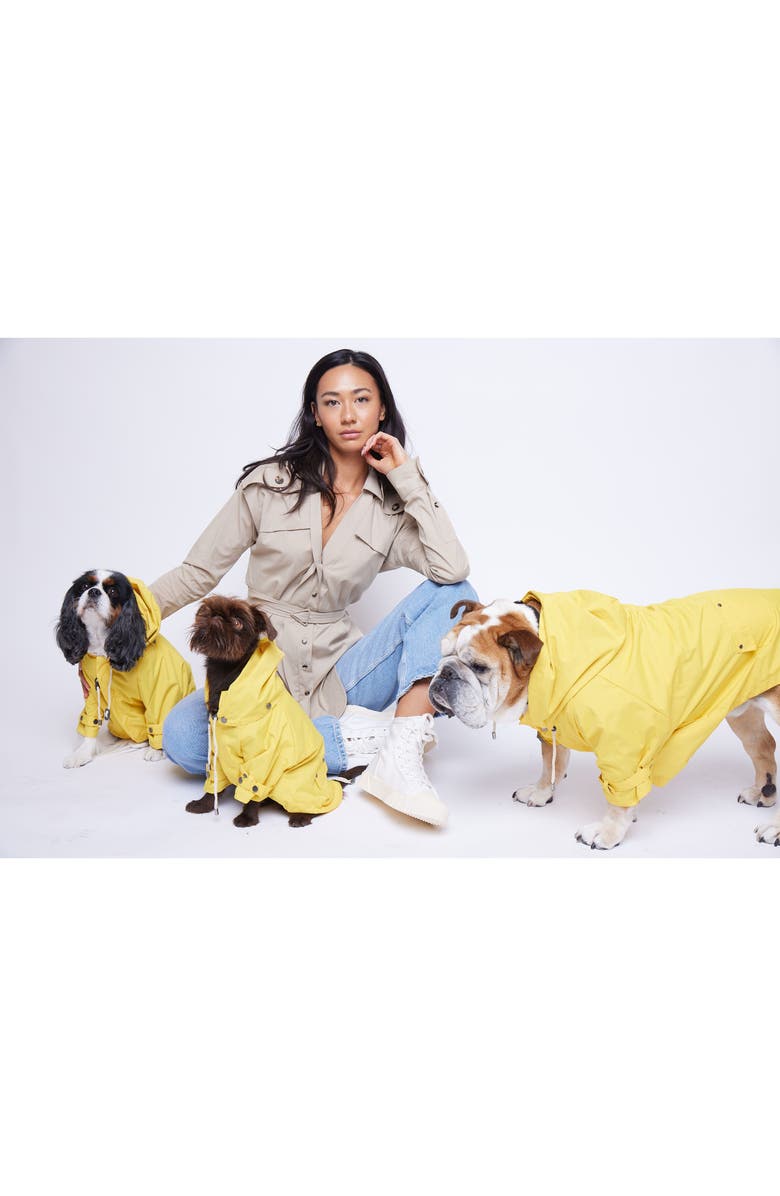 maxbone Talon Dog Raincoat, Alternate, color,