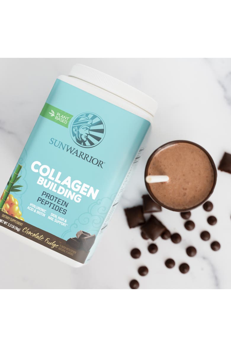 Collagen Building Protein Peptides Powder, Chocolate Fudge, 1kg, Alternate, color, No Color