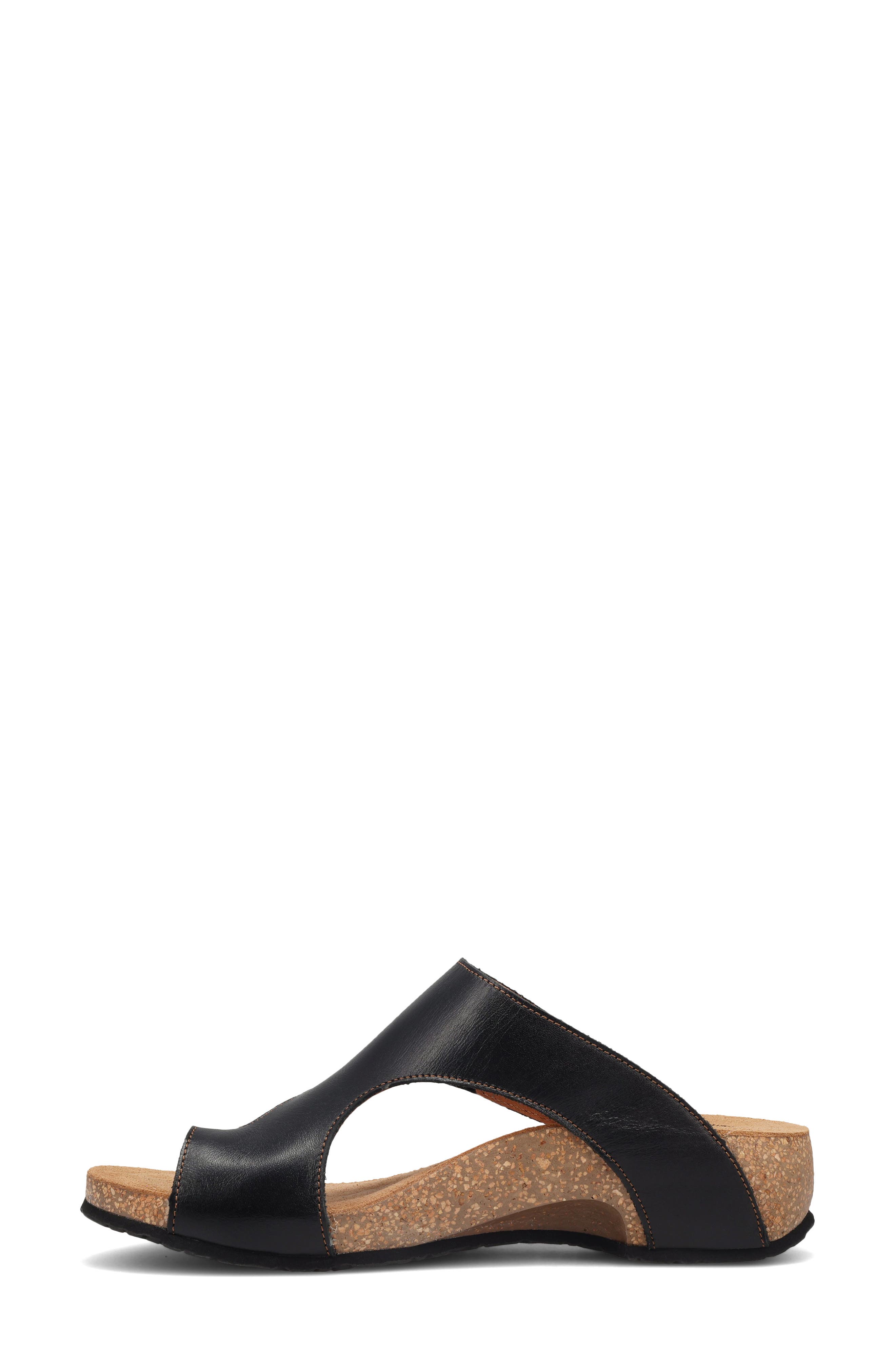 Taos Loop Toe Loop Sandal, Alternate, color, Black